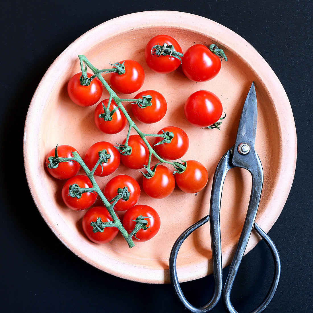 cherry tomatoes on a plate